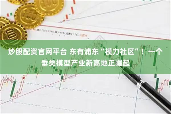 炒股配资官网平台 东有浦东“模力社区”！一个垂类模型产业新高地正崛起