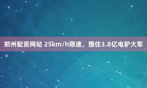 郑州配资网站 25km/h限速,围住3.8亿电驴大军