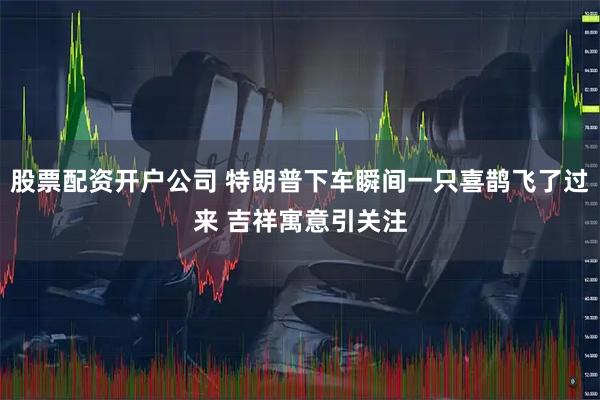 股票配资开户公司 特朗普下车瞬间一只喜鹊飞了过来 吉祥寓意引关注